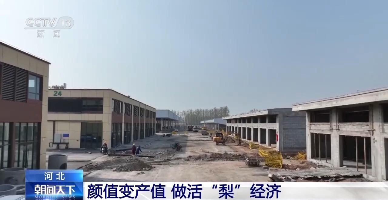 颜值变产值做活梨经济魏县这样做