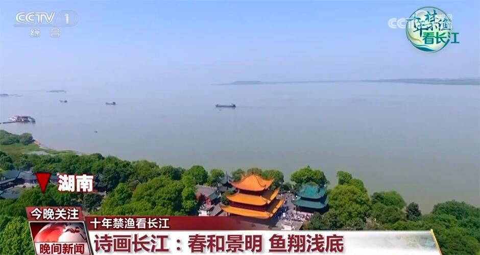 荆楚网>新闻频道>最新播报940_500