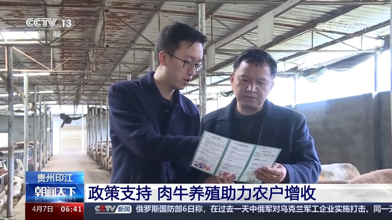在贵州印江土家族苗族自治县大石村,养殖户石黔闽正在给牛投放饲料.