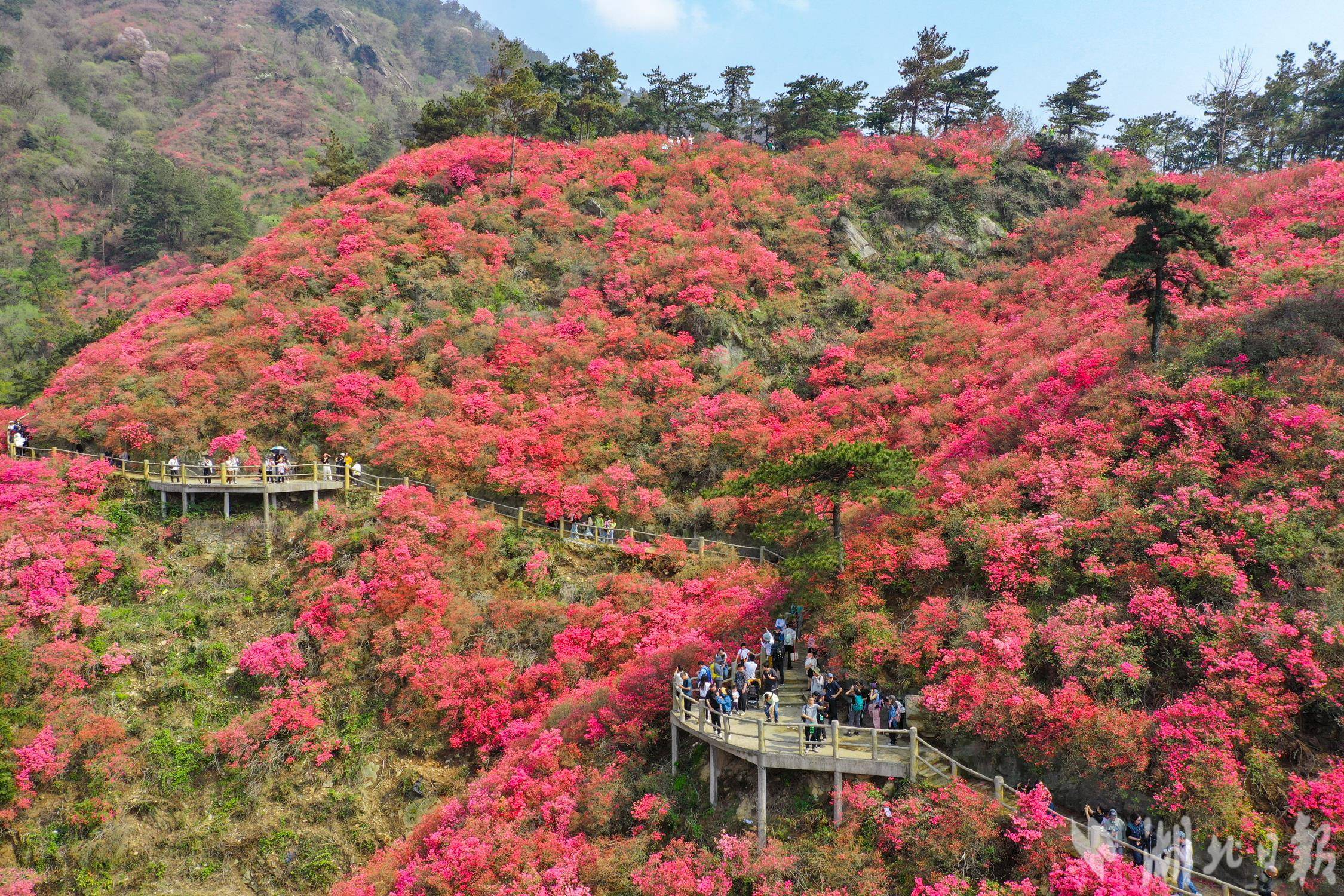 木兰云雾山游玩攻略图片