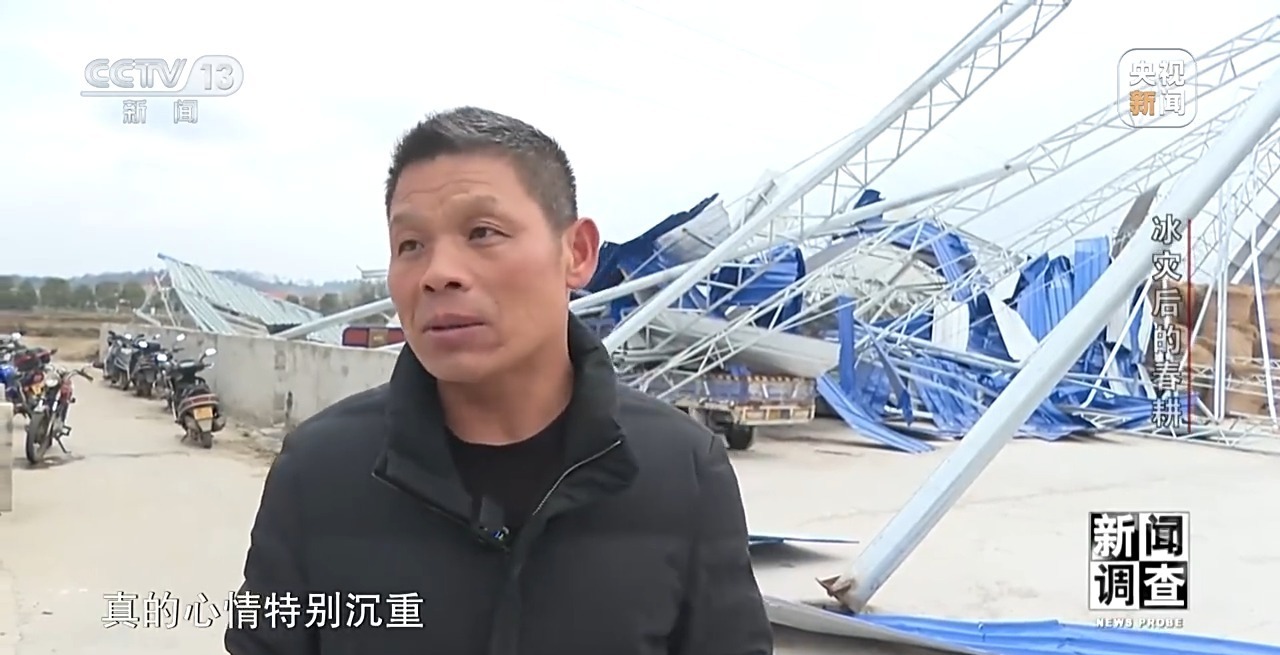 新闻调查丨冰灾之后春耕怎么样了