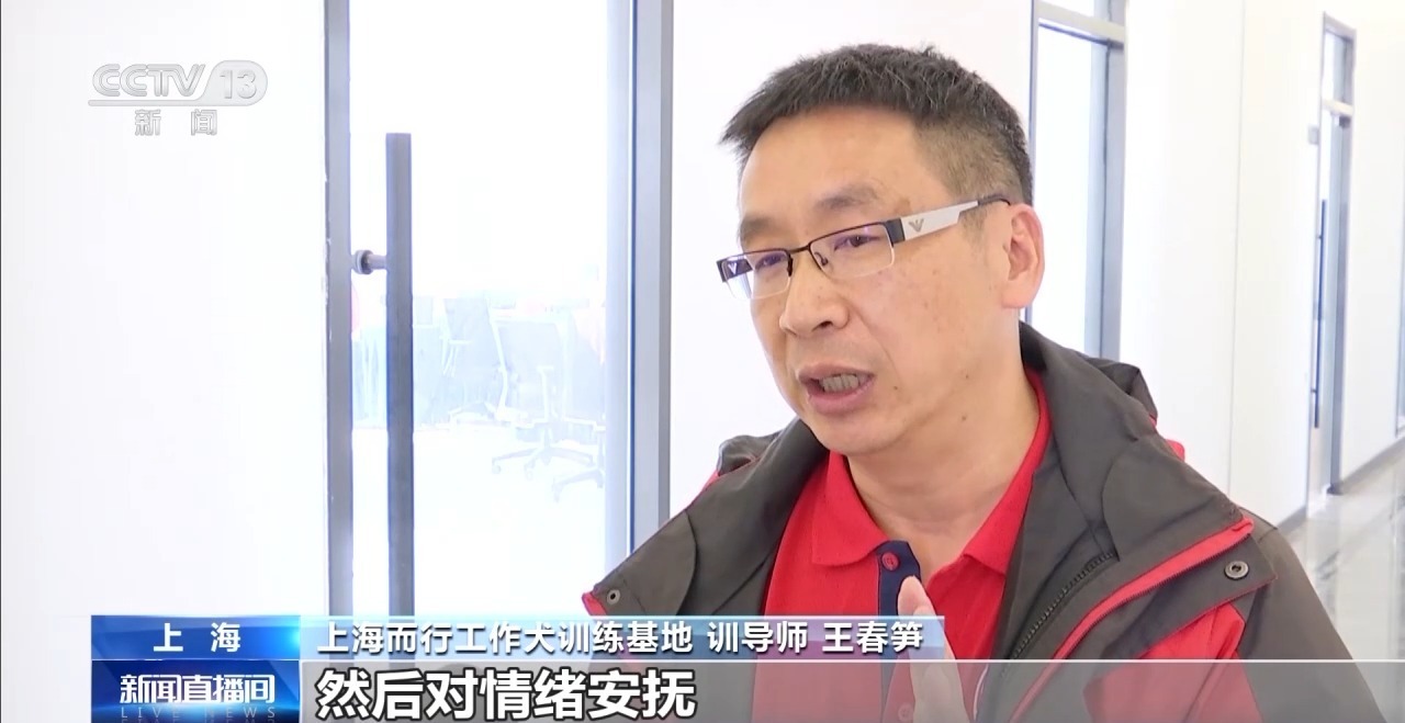 特殊老师上线 我国首批孤独症辅助犬将陪伴"星星的孩子"-荆楚网-湖北