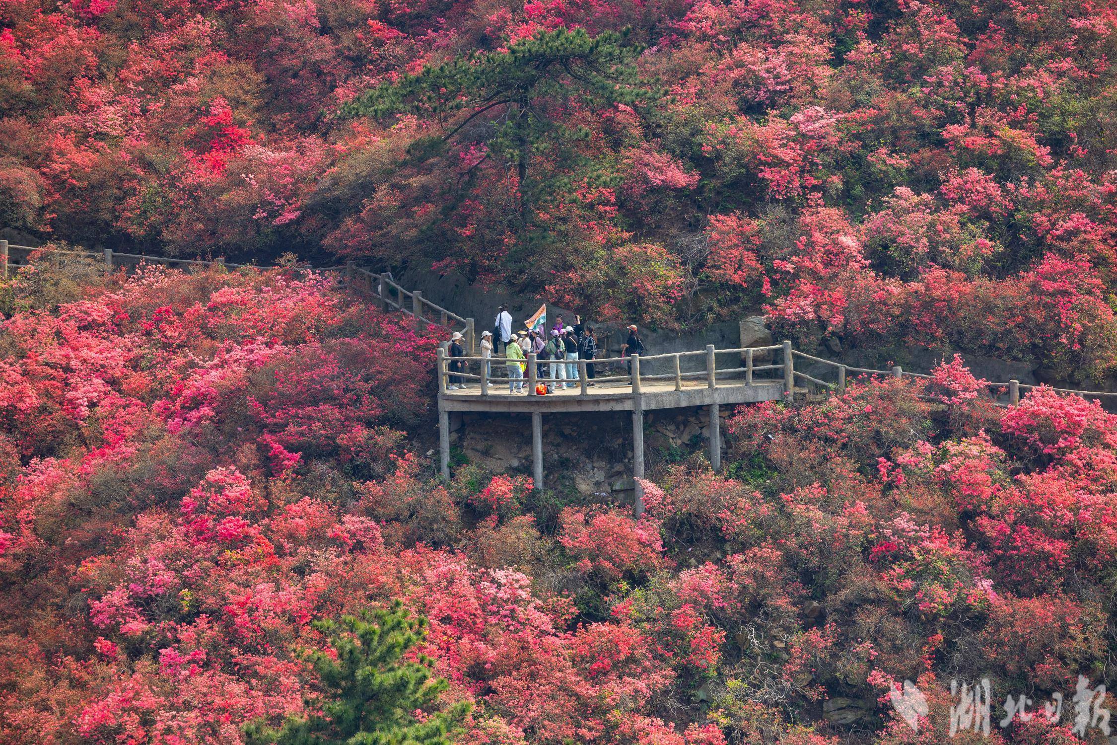 木兰云雾山图片图片