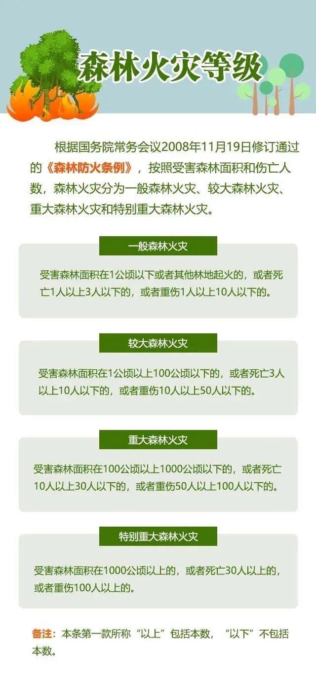 违规野外用火危害大森林防火十不准一定要牢记