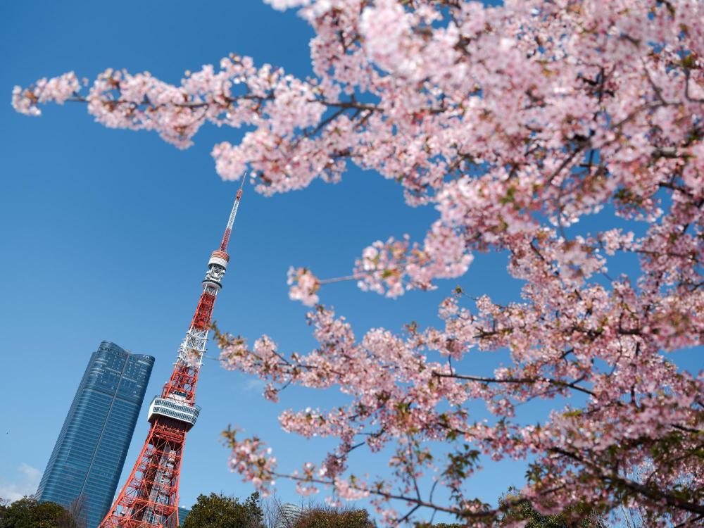 日本地图东京位置图片