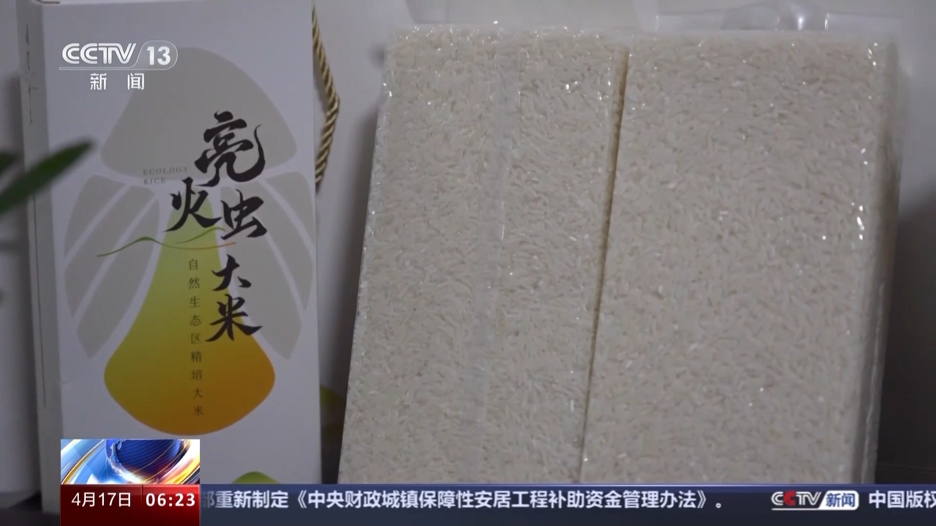 好生态带来好效益小小萤火虫点亮乡村夜经济