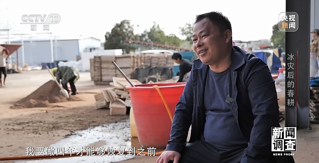 新闻调查丨冰灾之后春耕怎么样了