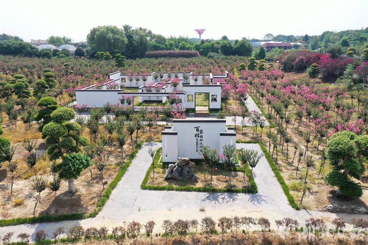 4月22日,首届"紫薇杯"武汉文化兴乡系列活动组委会宣布,"五一"假日