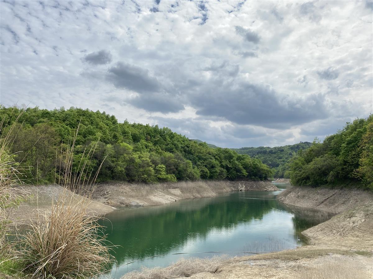 襄阳南漳300亩彩色杜鹃美如画