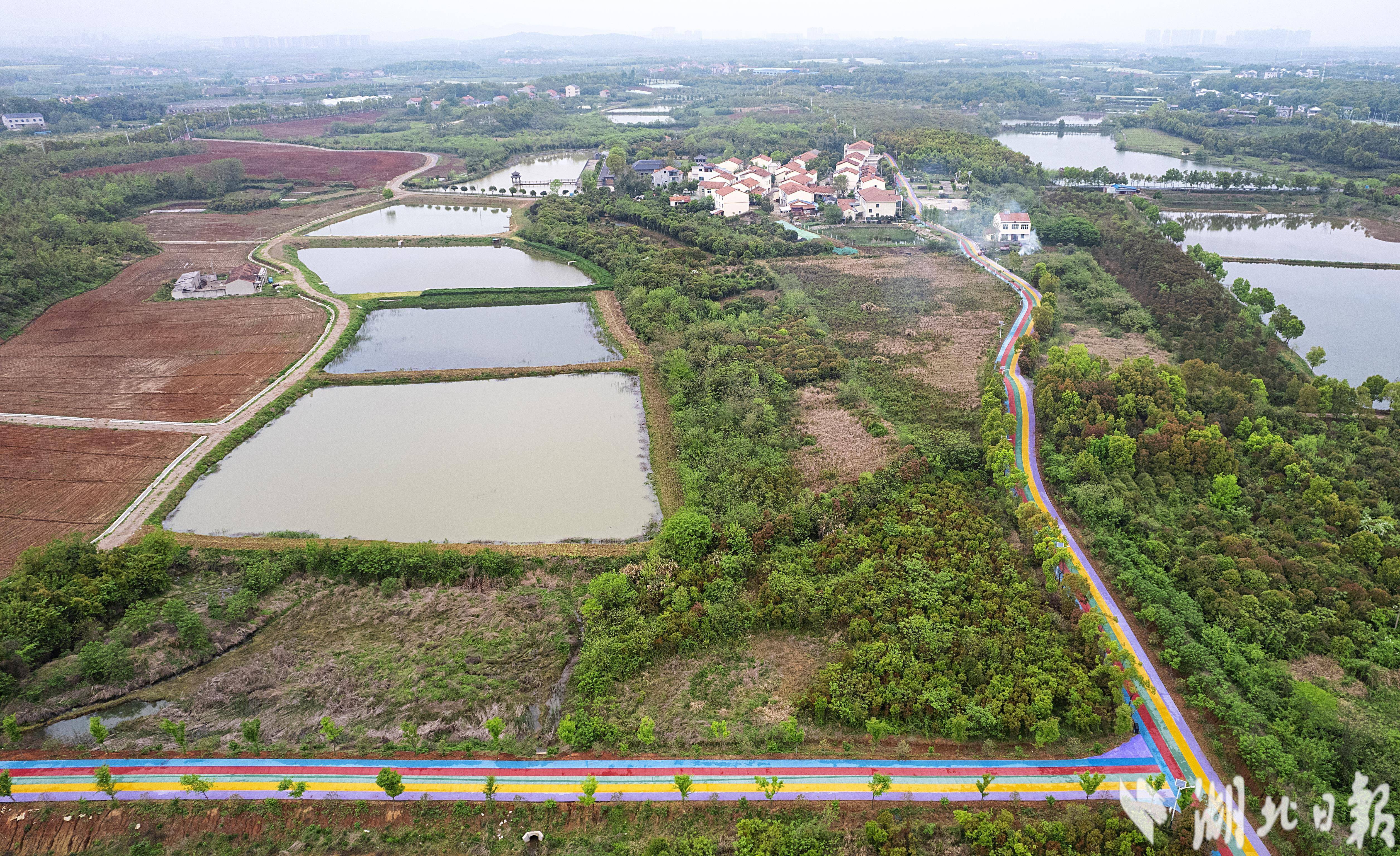 江夏区加快"四好农村路"建设-荆楚网-湖北日报网