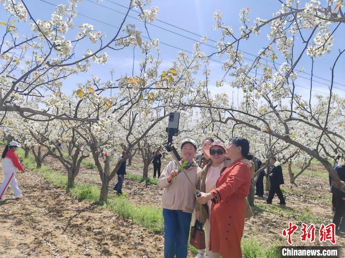 乡村行看振兴山西隰县一颗好梨激活一域兴盛