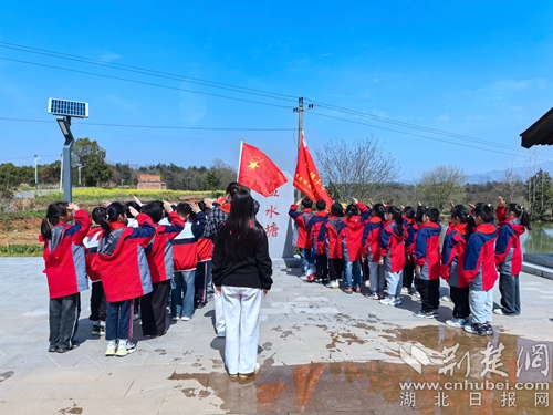 大冶市陈贵镇小学图片