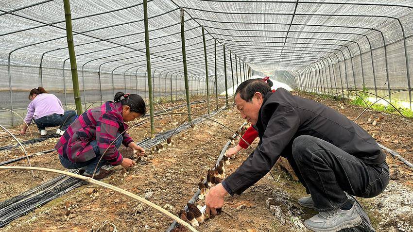 保康县两峪乡书记图片