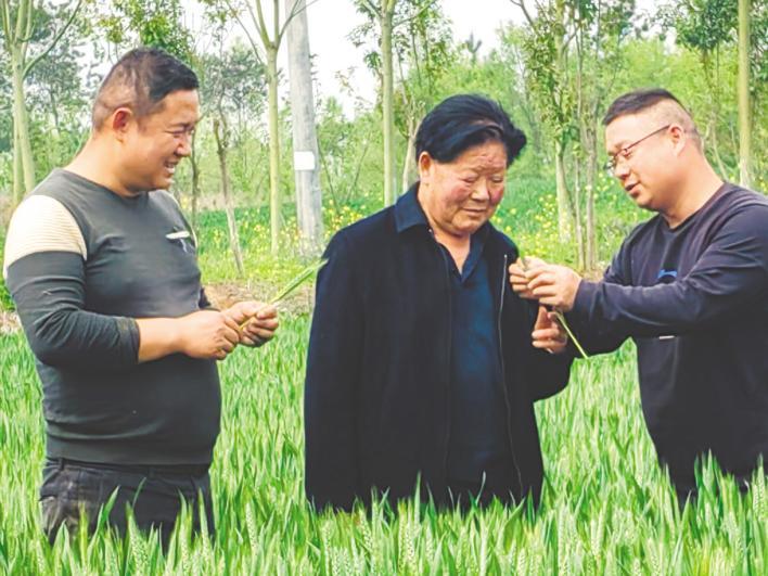 是中国农村改革初期最早的规模经营者之一,先后在湖北,宁夏垦荒种粮