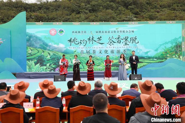 打造茶旅名片西藏墨脱首届茶文化旅游季开幕