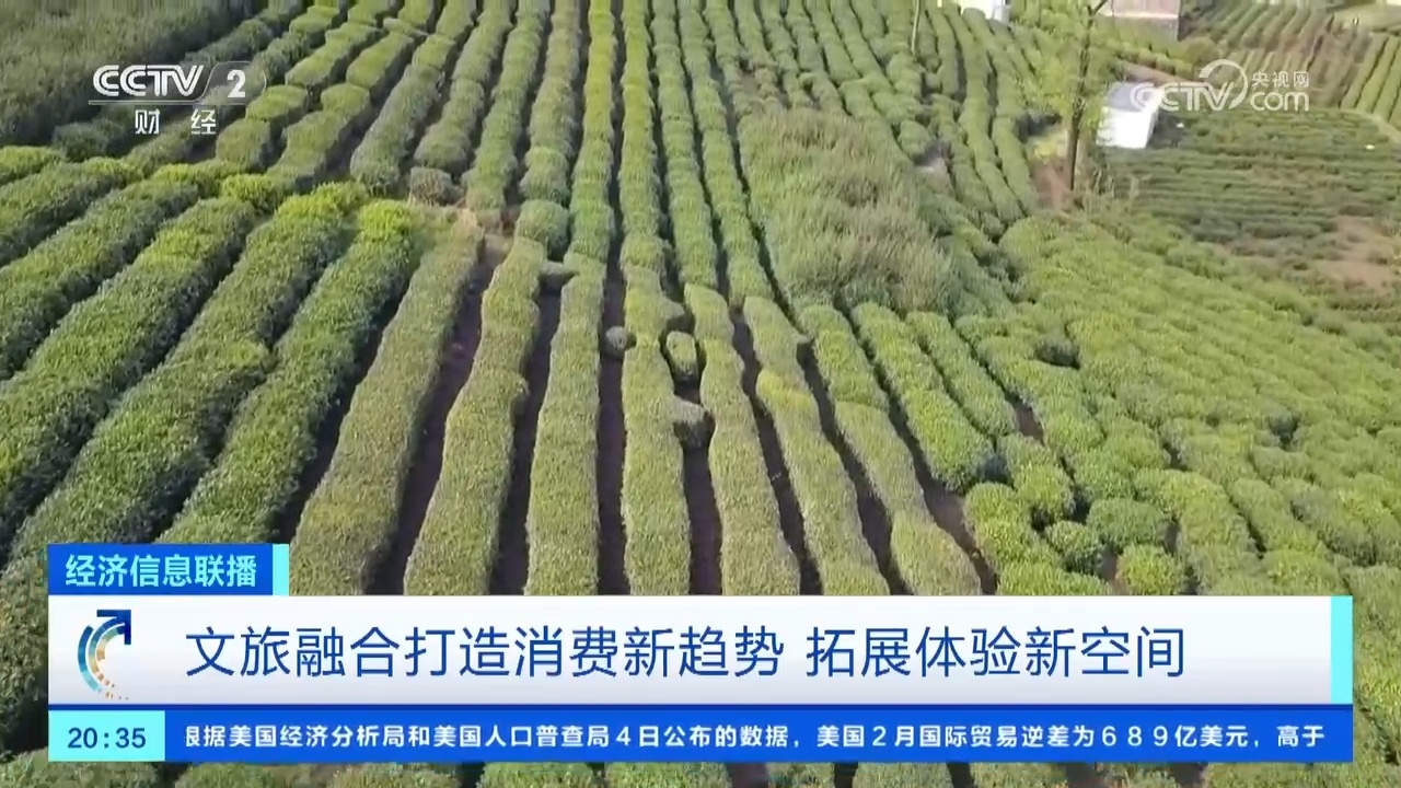 伴着春风走进这万亩茶园,您可以化身一位采茶工,背着竹编茶篓穿梭在