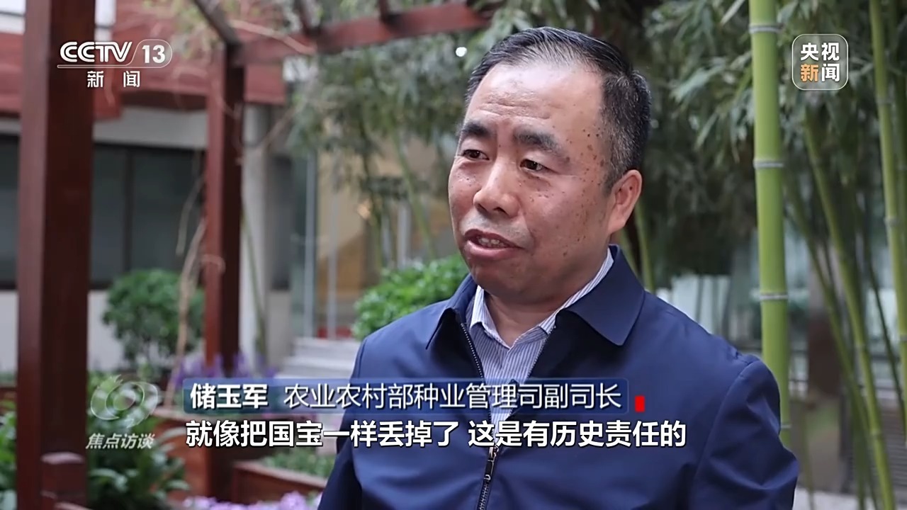 焦点访谈丨总体国家安全观创新引领十周年