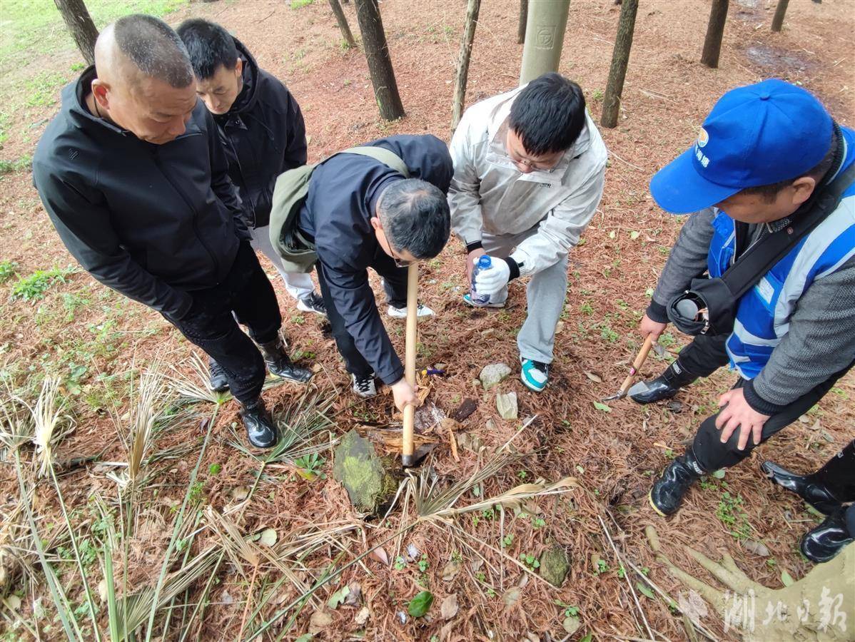 省汉江水利白蚁防治中心首次跨省开展白蚁危害专项普查