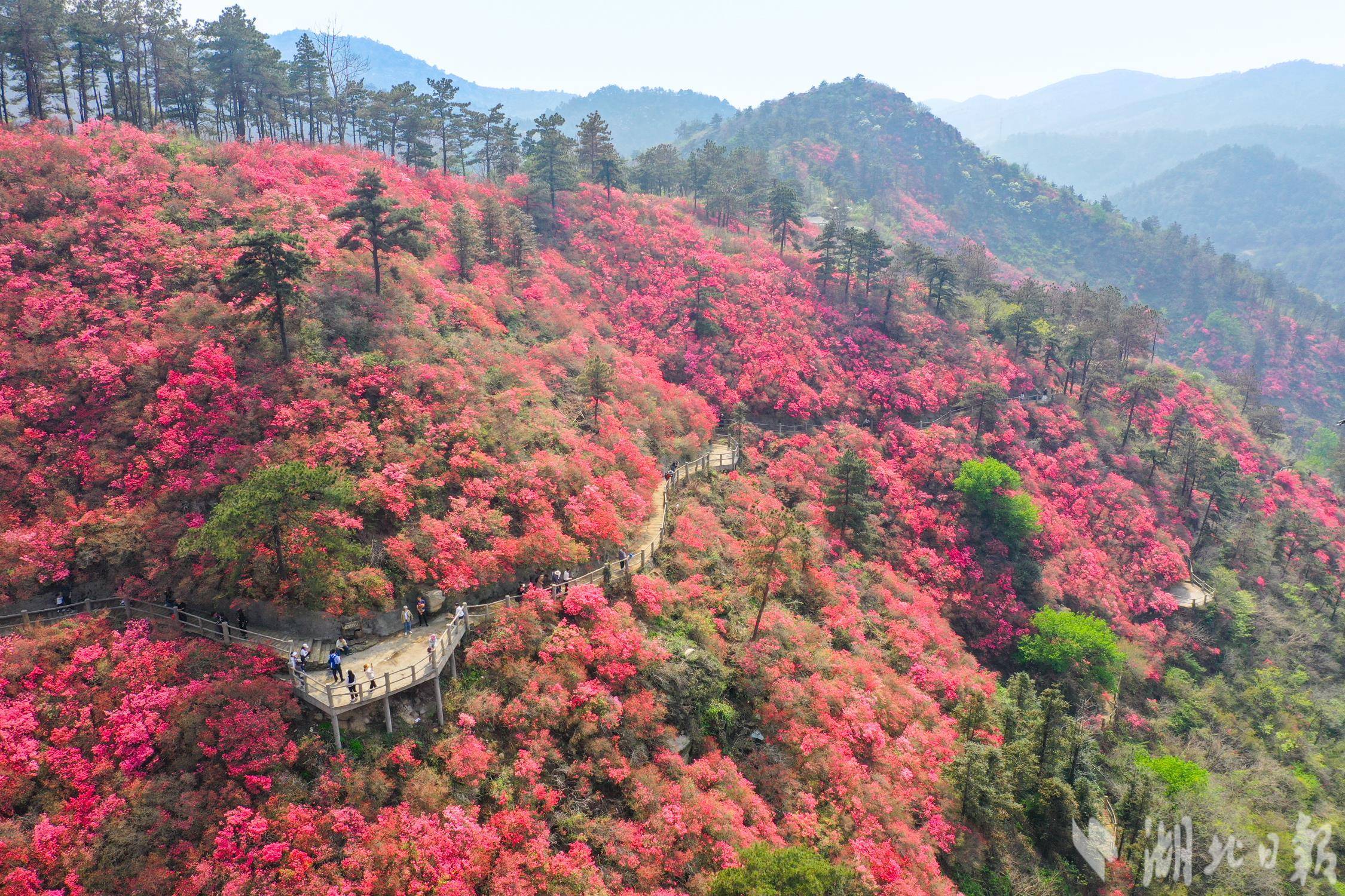 木兰云雾山图片图片