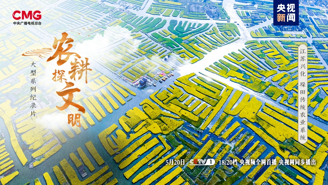 曾经的沼泽地,如何变成如今的"菜篮子"?