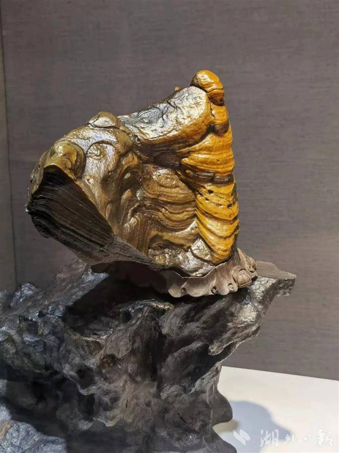 奇石展亮相武汉园博园