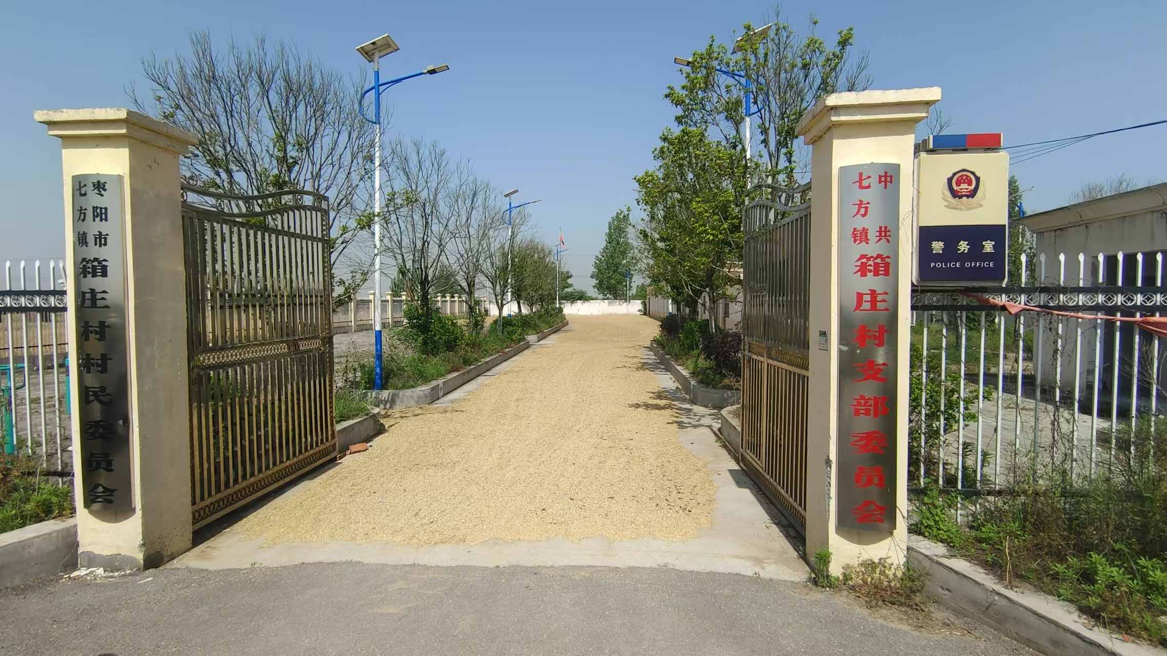 枣阳市七方镇:开院晒粮喜迎丰收