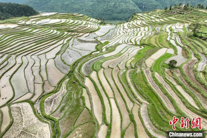 贵州贵定腊利梯田层层叠叠 宛如大地调色板