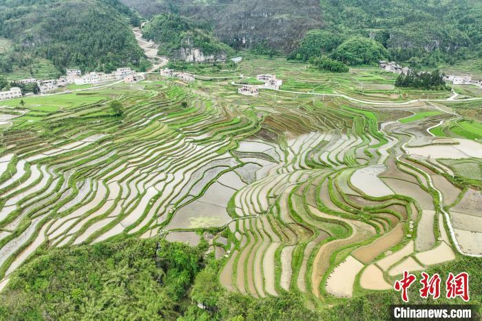 贵州贵定腊利梯田层层叠叠 宛如大地调色板