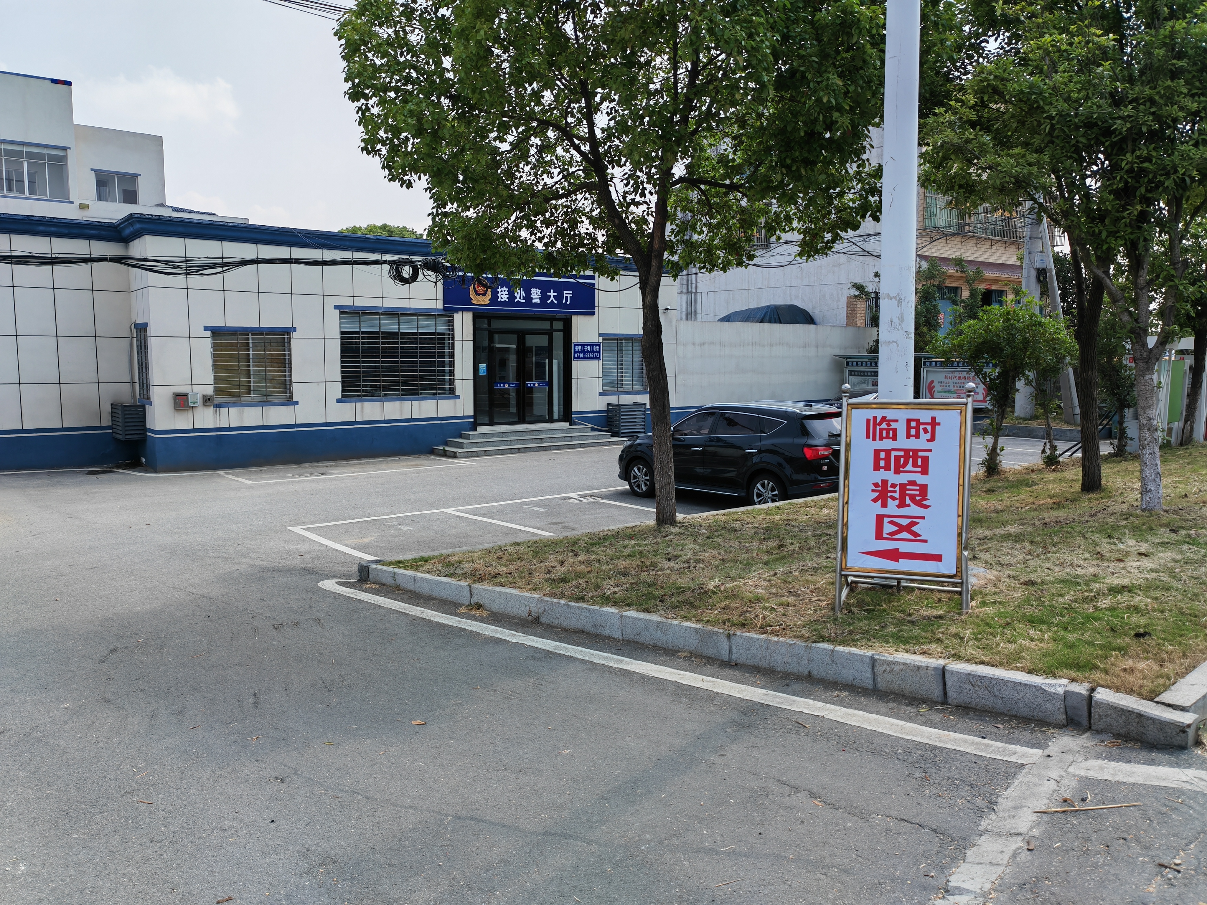 枣阳市七方镇:开院晒粮喜迎丰收