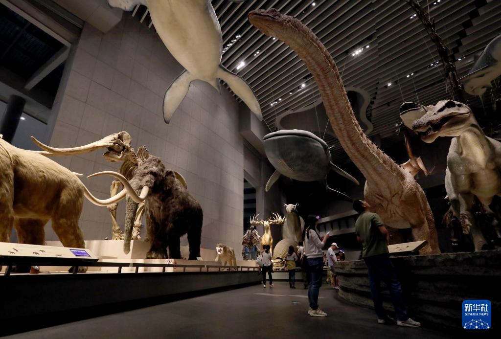 上海:在博物馆感受自然科学之美