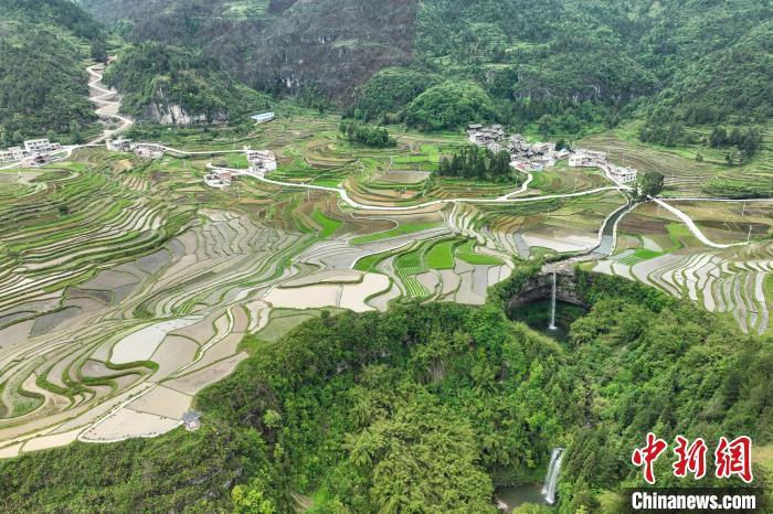 贵州贵定腊利梯田层层叠叠 宛如大地调色板