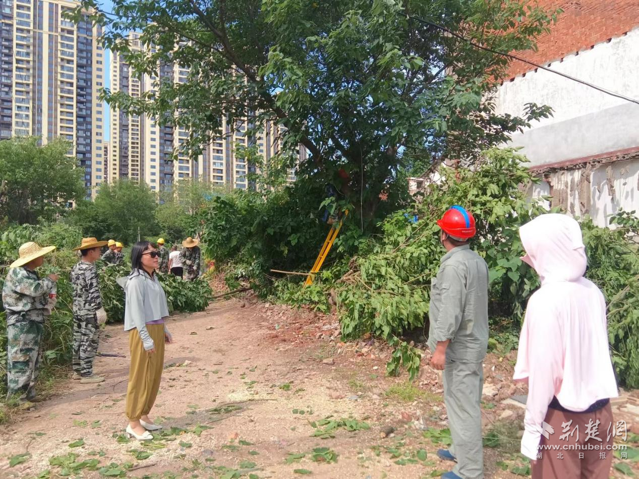 武汉纱帽街马影河社区为老住户清理压线树枝