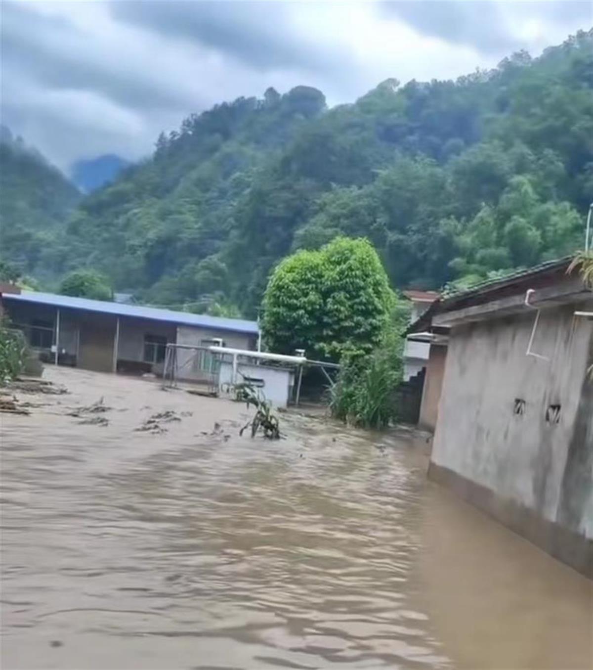 毕节暴雨洪灾图片