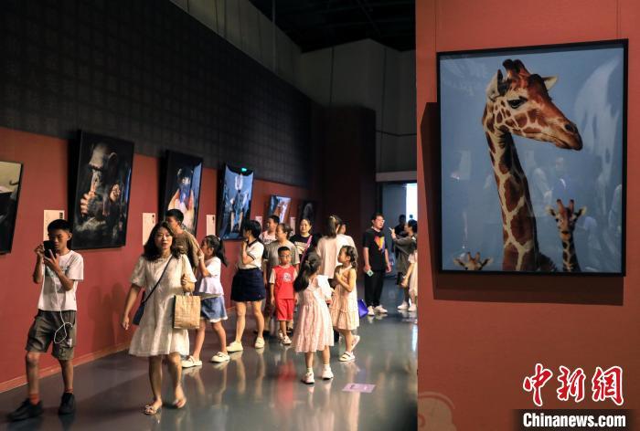 四川成都:濒危动物艺术摄影巡回展吸引参观者