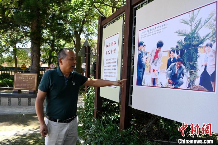 福建漳州角美镇鸿渐村,早年许氏家族几乎家家户户都有人从月港出海