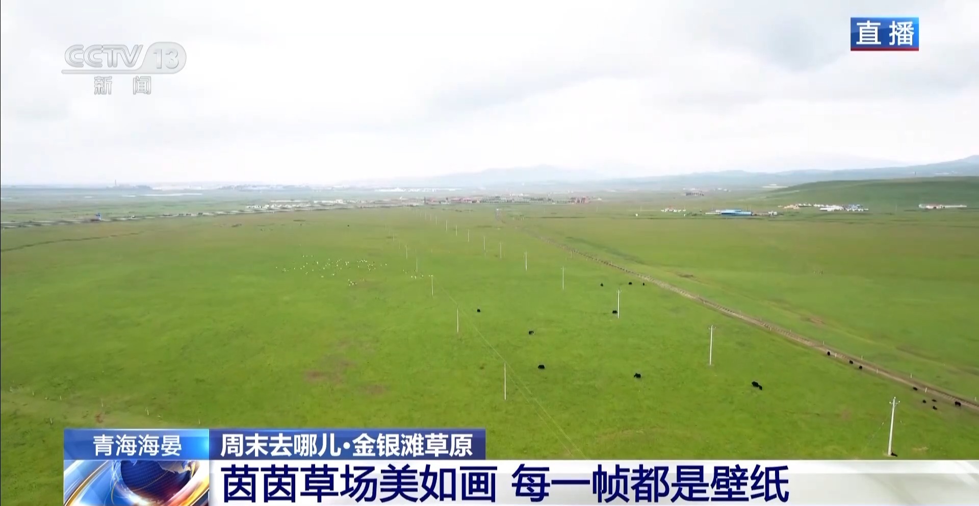 打卡青海金银滩 不只是草原那么简单!