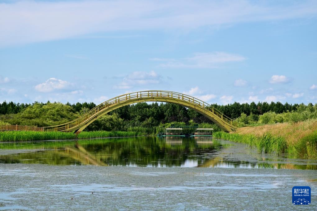 探访同江三江口国家湿地公园