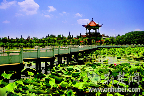 洪湖美景