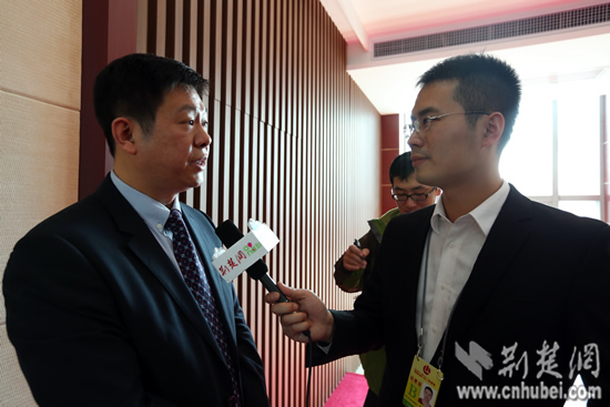 记者现场专访武汉市环保局副局长李湛(荆楚网记者 张扬 摄)