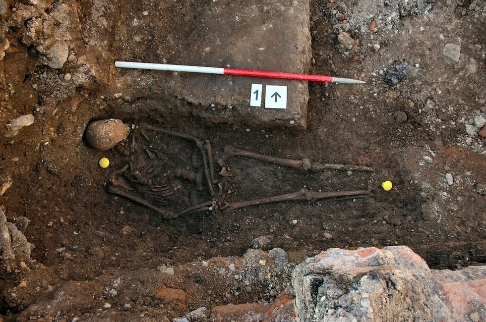 英国停车场挖掘出暴君理查三世遗骨头颅8处创伤组图
