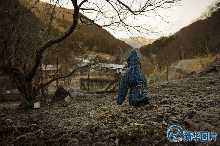 日本无人村变诡异娃娃谷