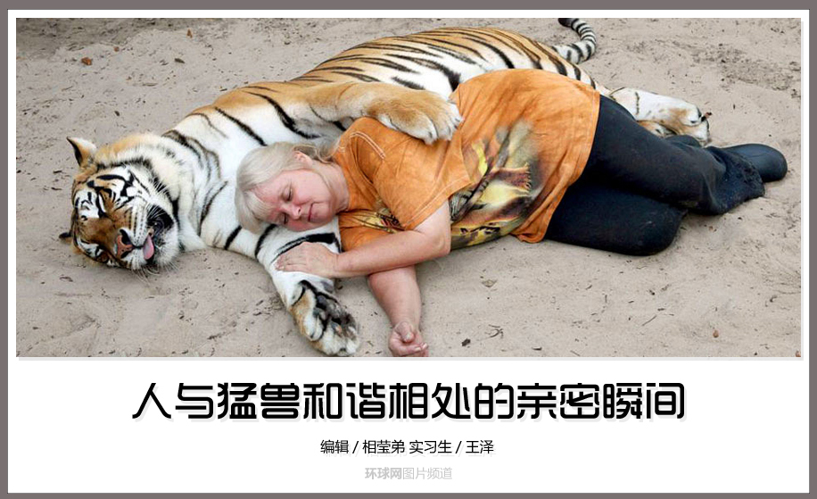 人与猛兽和谐相处的亲密瞬间