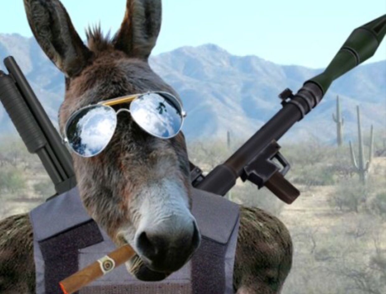 网传也门民兵与胡塞武装战斗照片:机枪架在驴背上