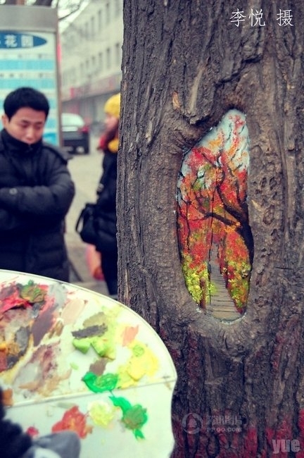 女孩绘树洞画轰动全国 用妙笔善心抚平树的忧伤(图)