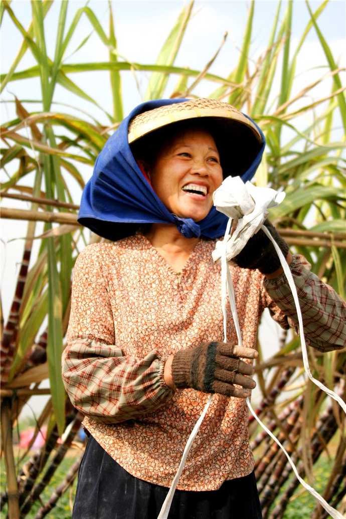 女农民工每扛一次甘蔗10元钱 一趟100斤甘蔗