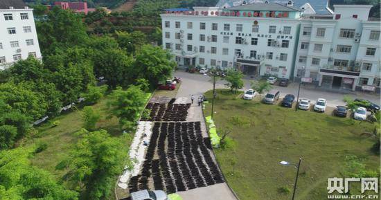 中越边境查获7384张貂皮 系近年来单案一次性查获数量最多的一次