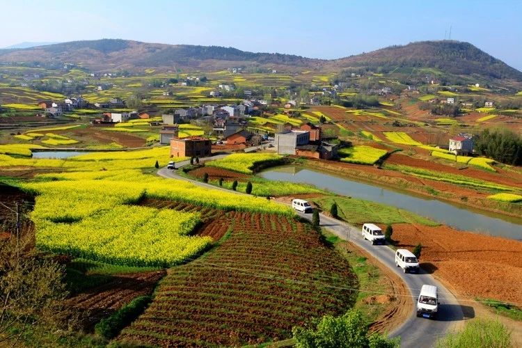 湖北乡村振兴21条举措出炉 到2050年全面建成农业农村现代化强省