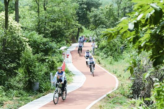 襄城环岘山绿道图片