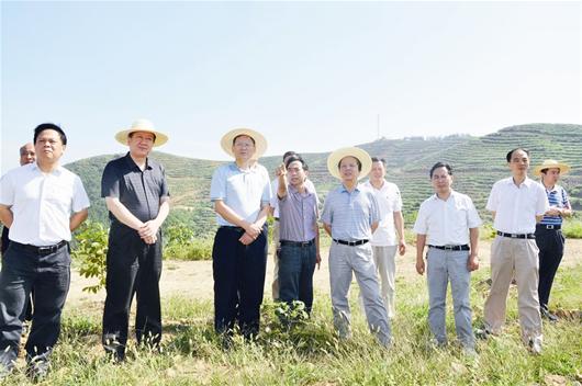 "随州市委书记刘晓鸣在创建