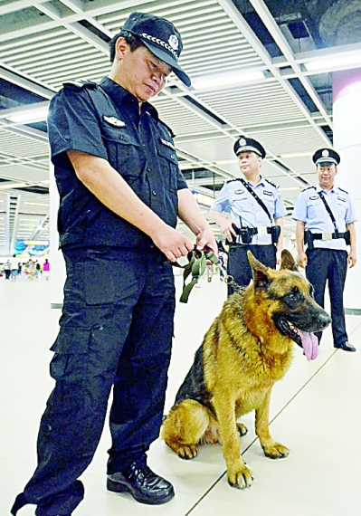 武汉地铁启用警犬搜爆防暴 对市民很萌对坏人很猛(图)